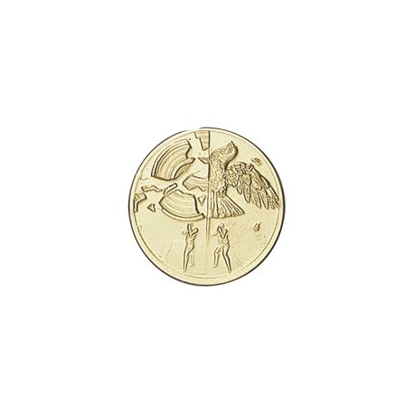 Pastille dorée Tir - 25 ou 50 MM