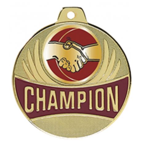 Médaille Champion AMITIE Doré, Argent ou Bronze - 50MM