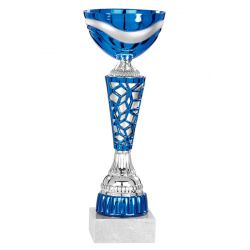 Coupe Argent et Bleu