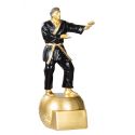 Trophée Judo - Résine dorée