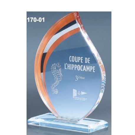 Trophée Verre flamme personnalisable Or, Argent, Bronze