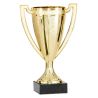 Trophée Coupelle Or