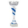 Coupe Argent et Bleu