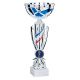 Coupe Argent et Bleu blanc rouge