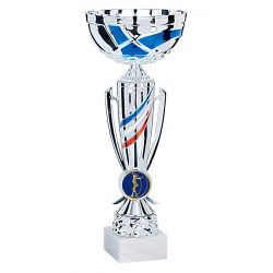 Coupe Argent et Bleu blanc rouge