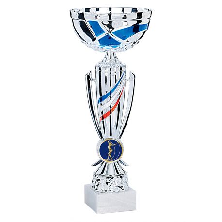 Coupe Argent et Bleu blanc rouge