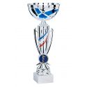 Coupe Argent et Bleu blanc rouge